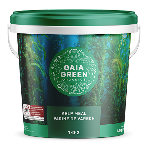 Gaia Green Kelp Meal - 1.5 KG