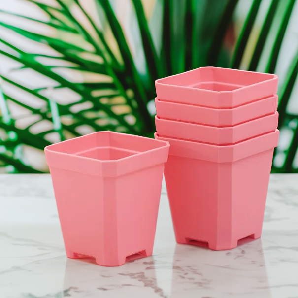 Square Nursery Pots 2.75 Inch - Pink