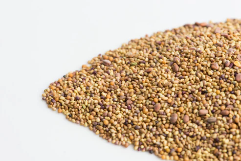 Mumm's Sprouting Seeds Sandwich Booster - 250 Grams