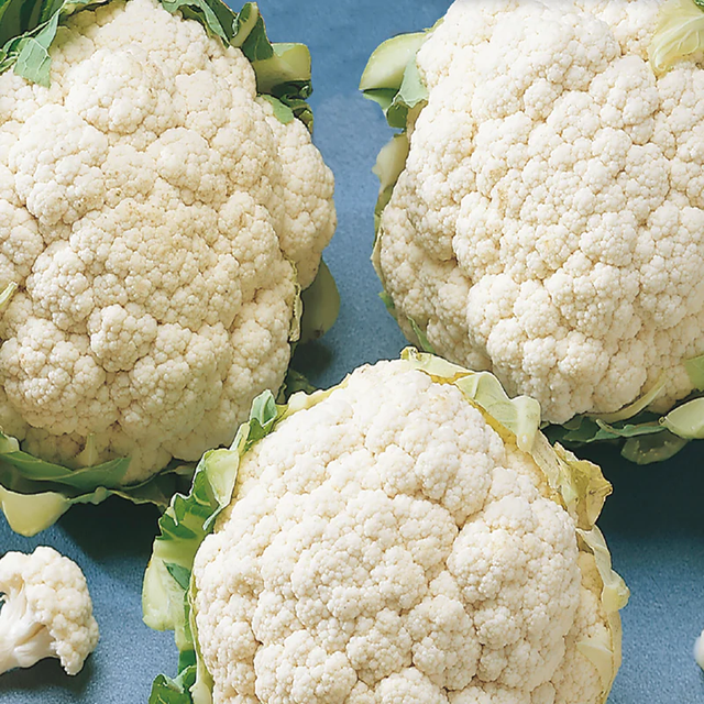 McKenzie Seeds Organic Cauliflower Seeds, Early Snowball