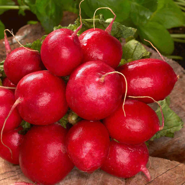 McKenzie Seeds Organic Radish Seeds, Cherry Belle