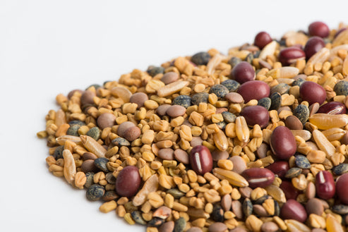 Mumm's Sprouting Seeds Ancient Eastern Blend - 250 Grams