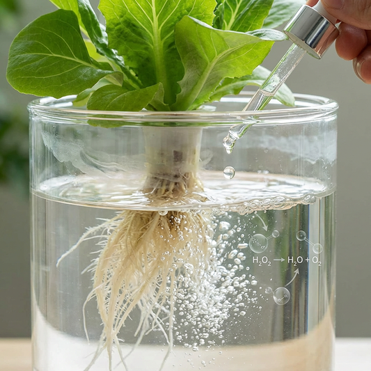 Hydrogen Peroxide for Plants: What H2O2 Really Does in the Root Zone and How to Use It Safely