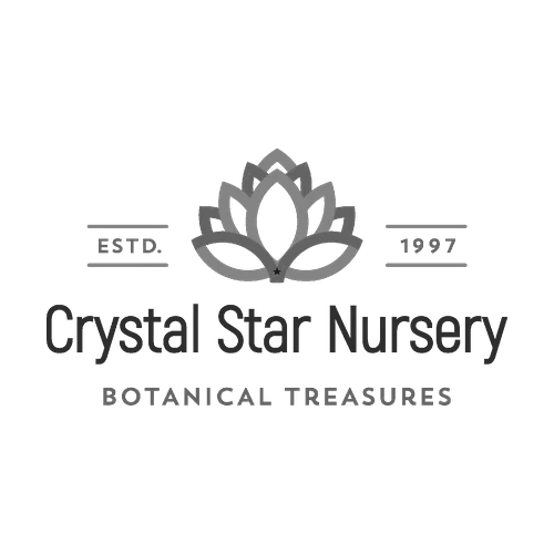 Crystal Star Nursery