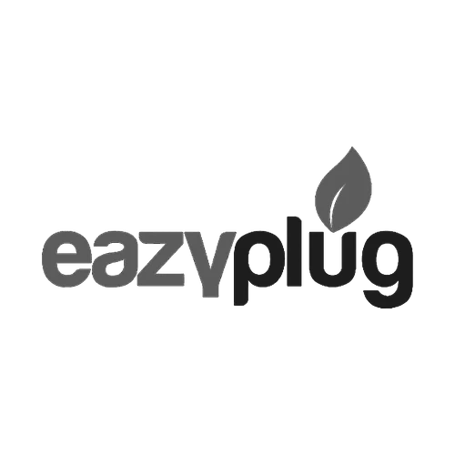 Eazy Plug