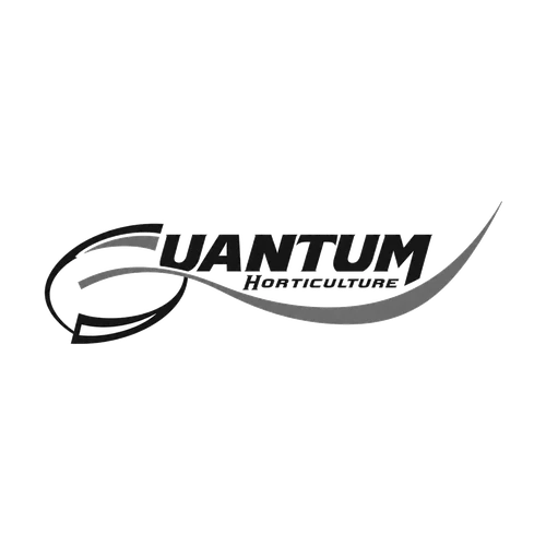 Quantum