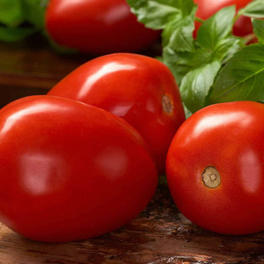 McKenzie Seeds Tomato Seeds, Roma VF