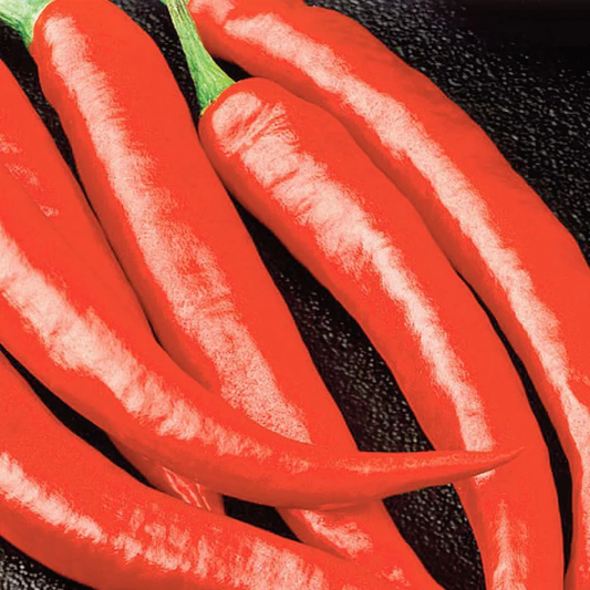 McKenzie Seeds Organic Pepper Seeds, Long Red Cayenne Slim