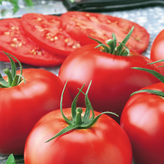 McKenzie Seeds Tomato Seeds, Early Girl