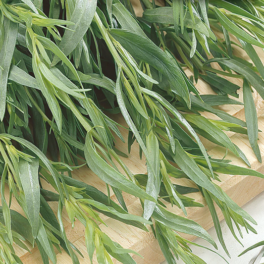 McKenzie Seeds Tarragon Seeds, Russian