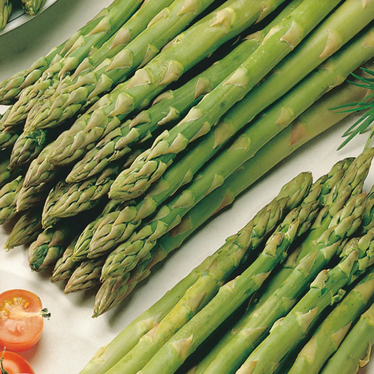 McKenzie Seeds Asparagus Seeds, Viking
