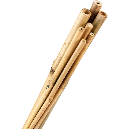 Bamboo Stake - 4 Feet Package of 25