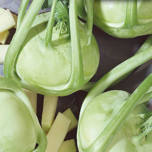 McKenzie Seeds Kohl Rabi Seeds, Early White Vienna