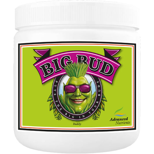 Advanced Nutrients Big Bud Powder - 1 KG