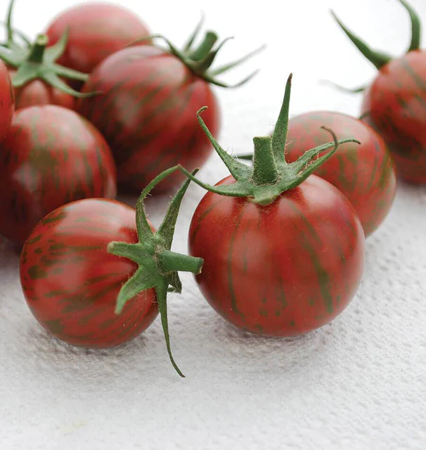 West Coast Seeds Tomatoes - Purple Bumble Bee Certified Organic