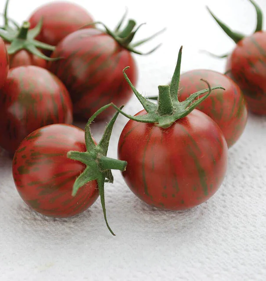 West Coast Seeds Tomatoes - Purple Bumble Bee Certified Organic