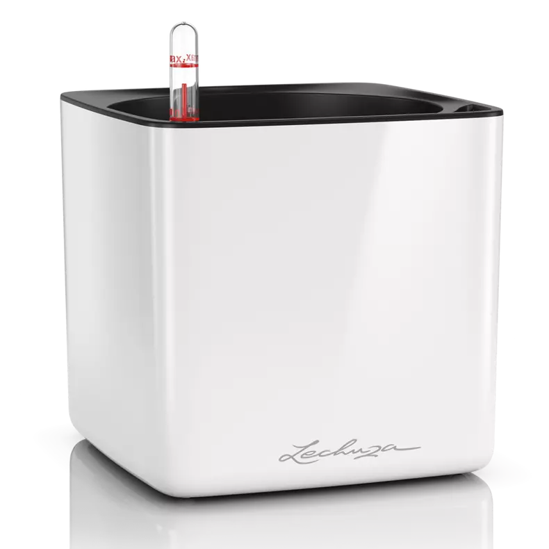 Lechuza Cube Glossy 16