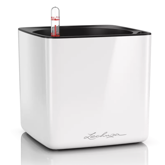 Lechuza Cube Glossy 16