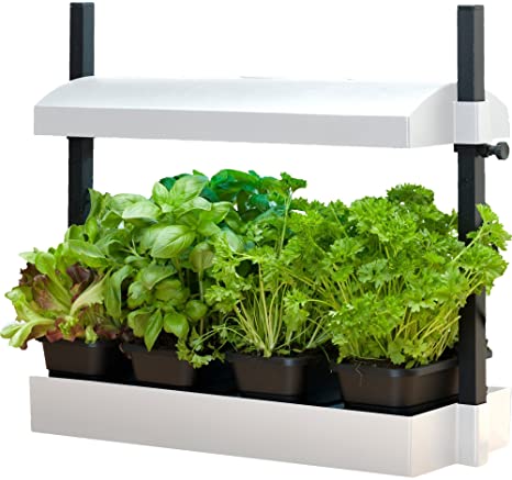 SunBlaster Micro Grow Light Garden - White T5HO