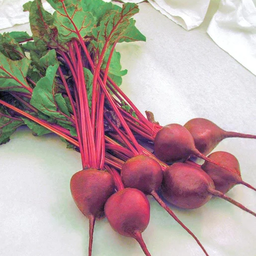 West Coast Seeds Beets - Early Wonder Tall Top