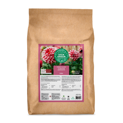 Gaia Green Power Bloom - 20 KG