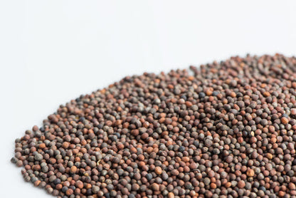 Mumm's Sprouting Seeds Broccoli - 100 Grams