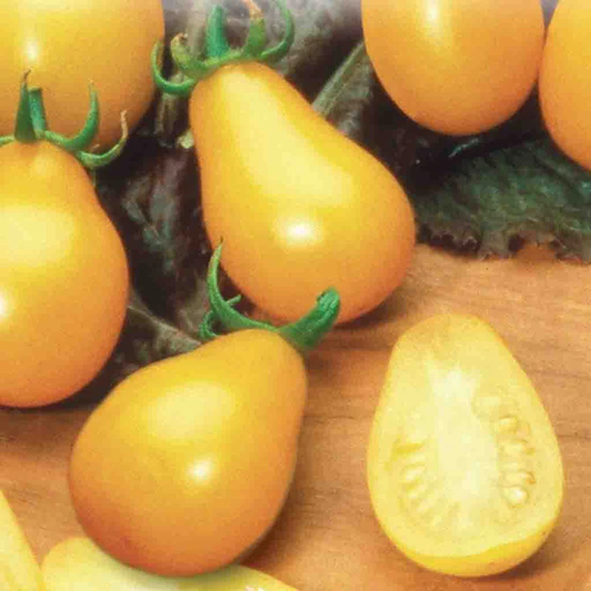 McKenzie Seeds Organic Tomato Seeds, Yellow Pearshaped