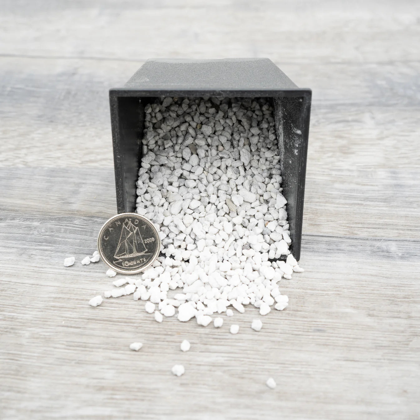 CSN Ponce 2,5 Litres - Grain Fin