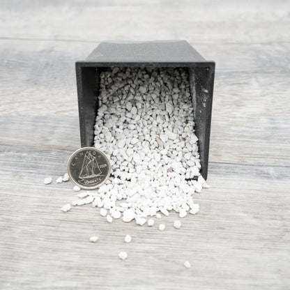 CSN Ponce 2,5 Litres - Grain Fin