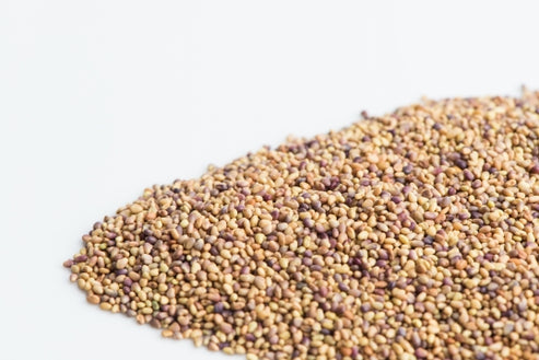 Mumm's Sprouting Seeds Red Clover - 125 Grams