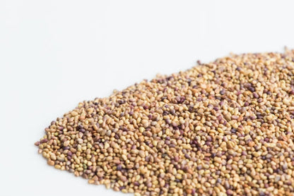 Mumm's Sprouting Seeds Red Clover - 125 Grams