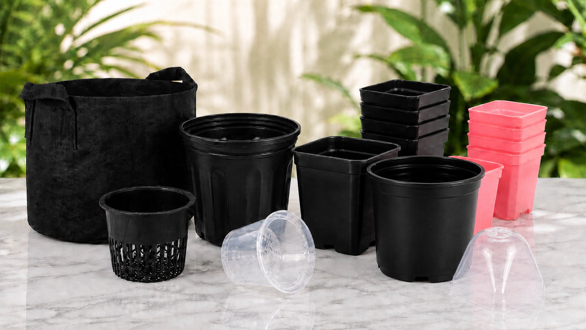 Provision Containers Plant Containers – Provision Gardens