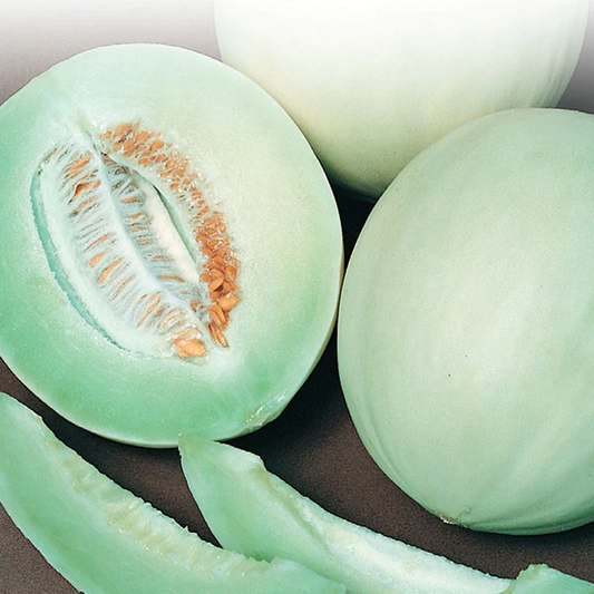 McKenzie Seeds Honeydew Seeds, Green Flesh