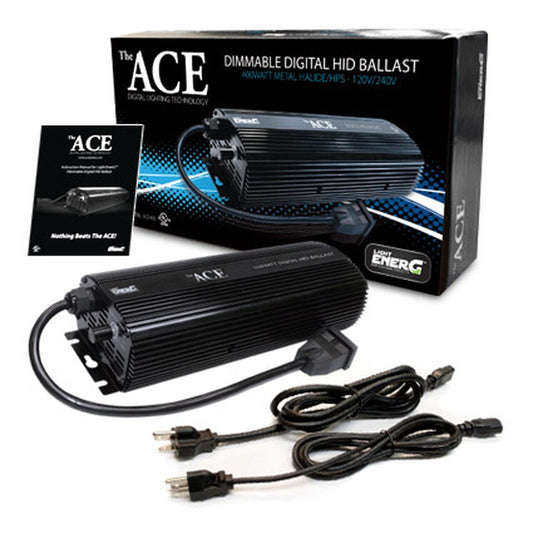 The Ace Ballast - 600 Watt