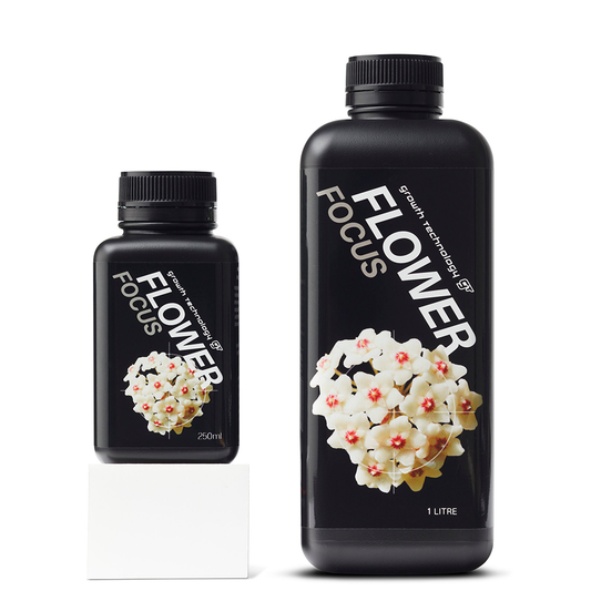 Growth Technology Flower Focus - 250 ML