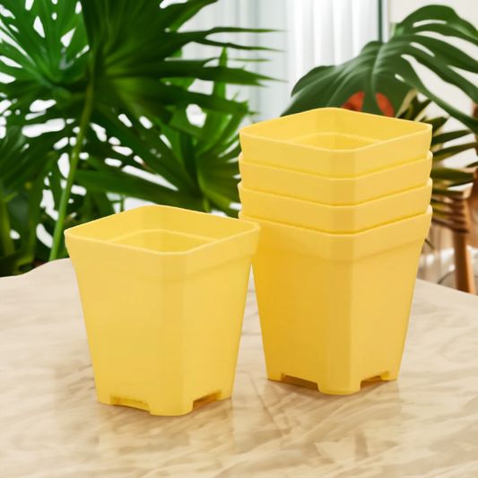 Square Nursery Pots 2.75 Inch - Yellow