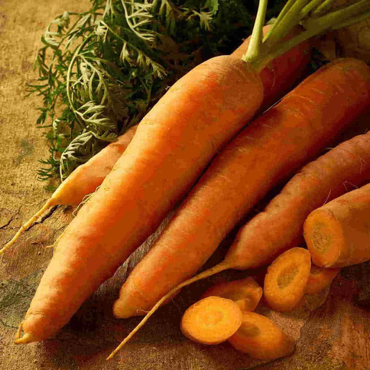 McKenzie Seeds Carrot Seeds, Scarlet Nantes