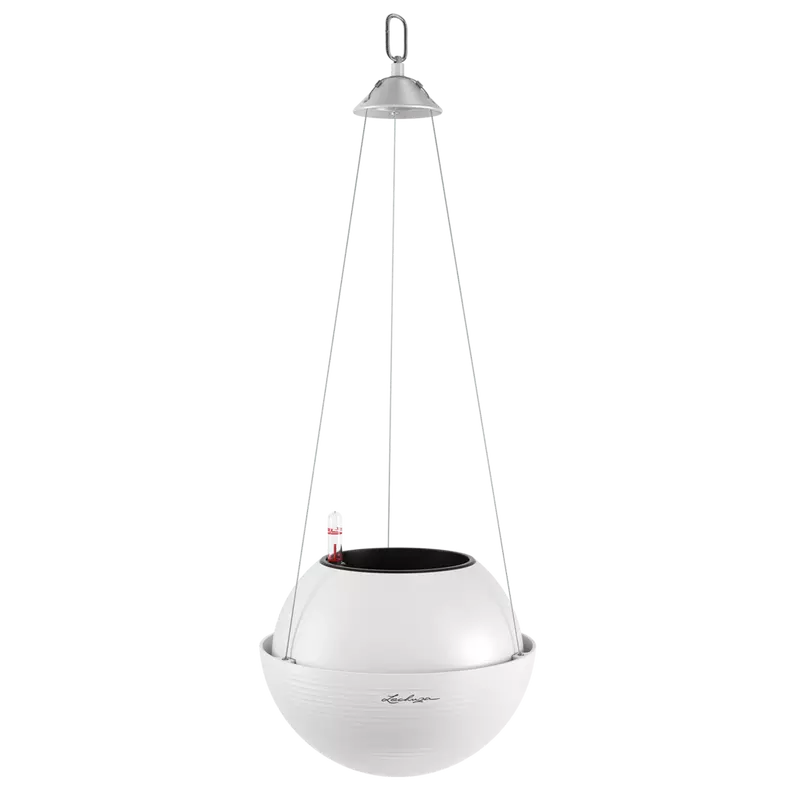 Lechuza Bola Color 23