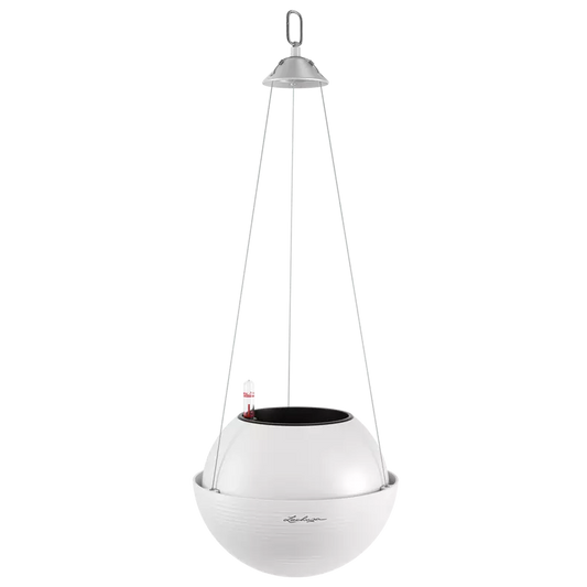 Lechuza Bola Color 23
