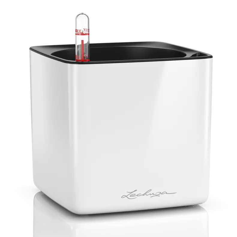 Lechuza Cube Glossy 14