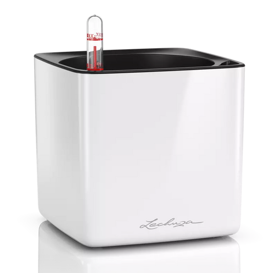 Lechuza Cube Glossy 14