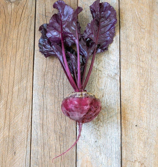 West Coast Seeds Beets - Bull's Blood