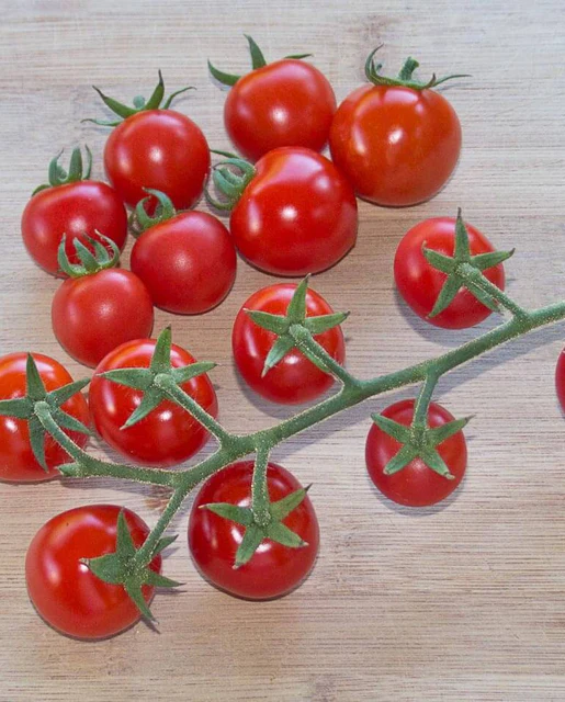 West Coast Seeds Tomatoes - Sakura Organic