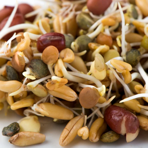 Mumm's Sprouting Seeds Spring Salad Mix - 200 Grams