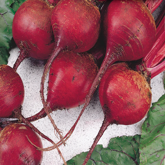 McKenzie Seeds Beet Seeds, Ruby Queen