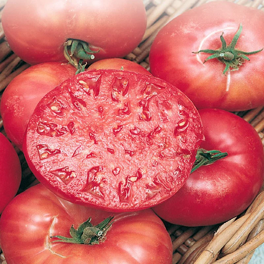 McKenzie Seeds Tomato Seeds, Mortgage Lifter