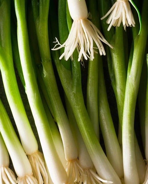 West Coast Seeds Onions - Parade Coated Organic