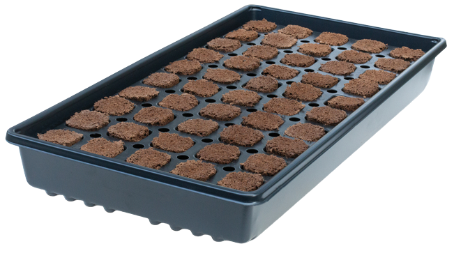 Q Plugs Refill Bag - 50 Count