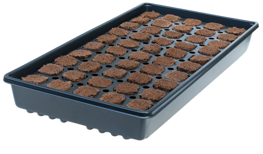 Q Plugs - 50 Plugs With Carrying Tray