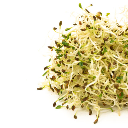 Mumm's Sprouting Seeds Alfalfa - 125 Grams